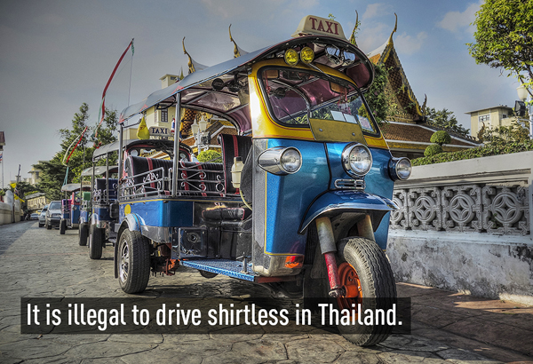 Sẽ là bất hợp pháp nếu lái xe mà cởi trần ở đây. Do đó các lái xe taxi cũng như tuk tuk ở Thái đều ăn vận khá chỉn chu và lịch sự. Sẽ là bất hợp pháp nếu lái xe mà cởi trần ở đây. Do đó các lái xe taxi cũng như tuk tuk ở Thái đều ăn vận khá chỉn chu và lịch sự.